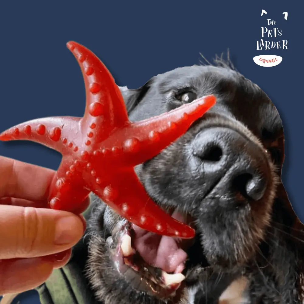 Apple & Mint Starfish