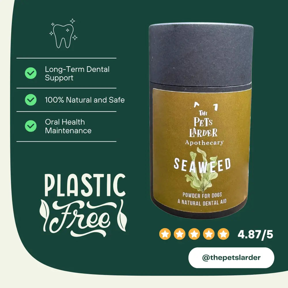 Dental Seaweed for Dogs: Plaque Removal