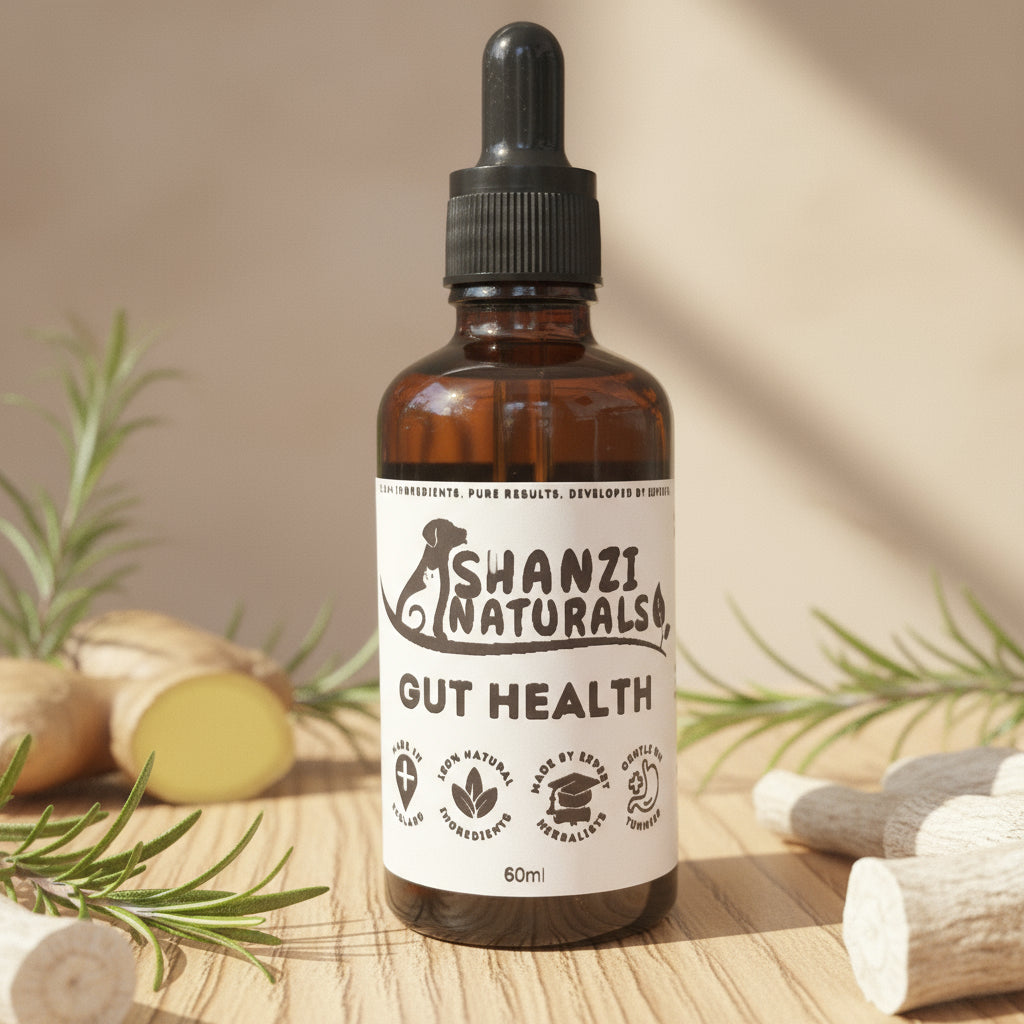Shanzi Naturals – Gut Health Tincture For Dogs & Cats
